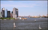 DSC_2956_1.jpg