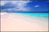 DSC_4967_1.jpg