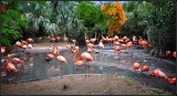 DSC_4024_1.jpg