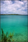 DSC_4115_1.jpg