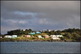 DSC_4563_1.jpg