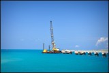 DSC_5593_1.jpg