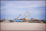 DSC_7460_1.jpg