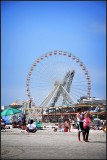 DSC_7515_1.jpg