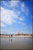 DSC_7518_1.jpg
