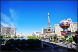DSC_8117_1.jpg