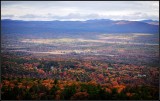 DSC_2541_1.jpg