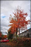 DSC_2736_1.jpg