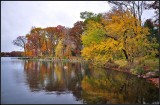 DSC_2995_1.jpg