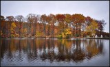 DSC_3073_1.jpg