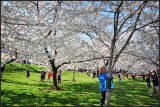 DSC_6061_1.jpg