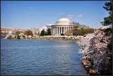 DSC_6437_1.jpg