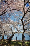 DSC_6482_1.jpg