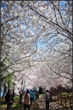 DSC_6493_1.jpg
