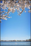 DSC_6530_1.jpg
