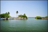 DSC_7146_1.jpg