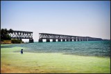 DSC_7158_1.jpg