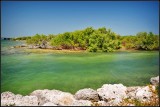 DSC_7208_1.jpg