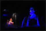 DSC_0120_1.jpg