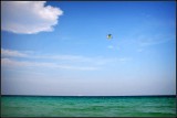 DSC_7822_1.jpg