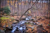 DSC_5986_1.jpg