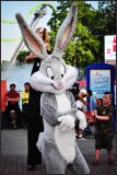 DSC_7826_1.jpg