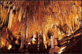 DSC_9532_1.jpg