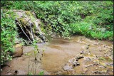 DSC_1371_1.jpg