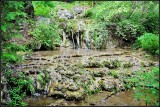 DSC_1594_1.jpg