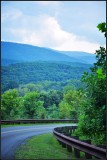 DSC_1667_1.jpg
