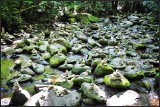 DSC_0200_1.jpg