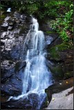 DSC_0618_1.jpg