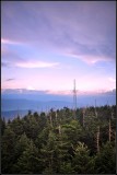 DSC_9969_1.jpg