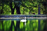 DSC_2448_1.jpg