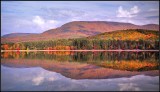 DSC_2558_1.jpg