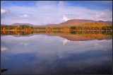 DSC_2565_1.jpg