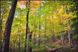 DSC_2645_1.jpg