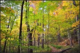 DSC_2647_1.jpg