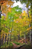 DSC_2648_1.jpg