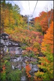 DSC_2755_1.jpg