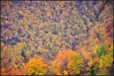 DSC_2857_1.jpg