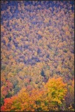 DSC_2859_1.jpg