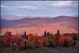 DSC_2909_1.jpg