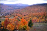 DSC_3000_1.jpg