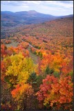 DSC_3006_1.jpg