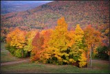 DSC_3023_1.jpg