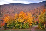 DSC_3026_1.jpg