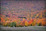DSC_3028_1.jpg