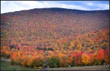 DSC_3033_1.jpg