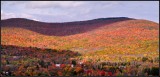 DSC_3054_1.jpg